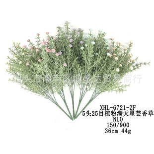 ���滨 �M�����Rβ�� ��������ins�L ��c��Y���üٻ����컨���l