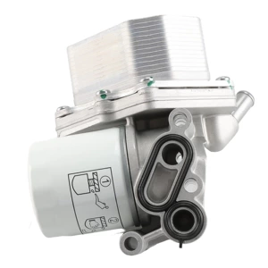 Bk2Q-6B624-Cb Is Suitable for Ford Transit 2.2t Oil Cooler Radiator Assembly, Available for Dropshipping