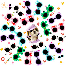 �¿�羳���u؈���Ʒ���Ȍ���l�A�ɐ�С����ī�R�l�A���ȹ����^