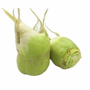 ���^�˲˷N���Ĵ�һ�K��ꖴ��^�˹��^��˲��̲�ե�˸�����߲���