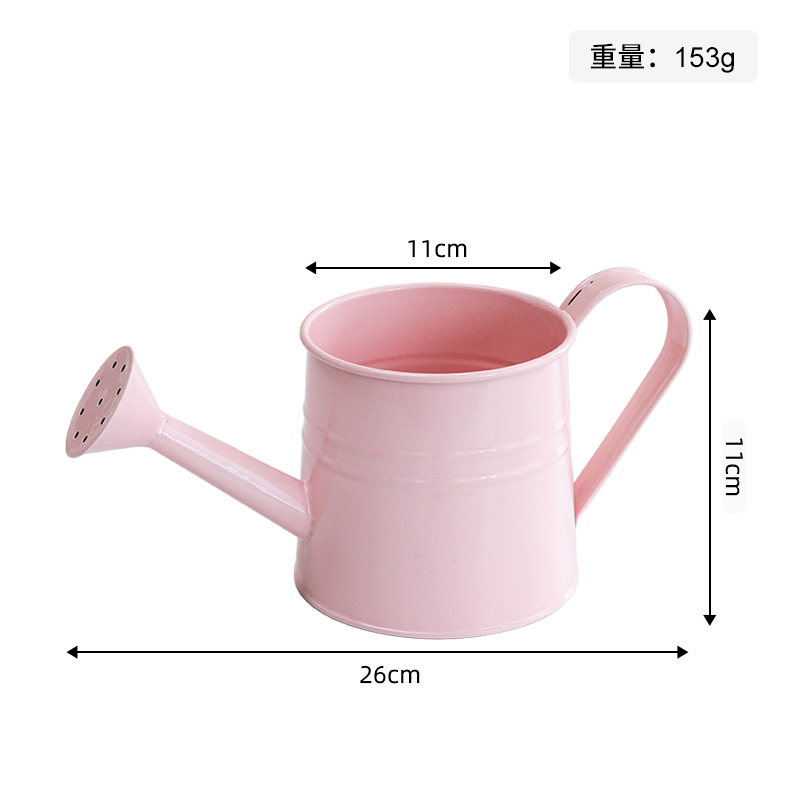 Light pink-iron watering bottle