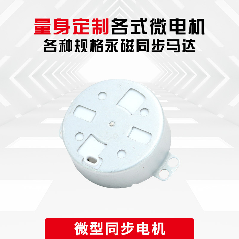 减速永磁同步电机TY-50家用灯饰按摩器厨卫电器空调风扇微型马达