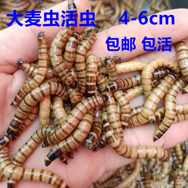 微信图片_20230219123001_副本_副本