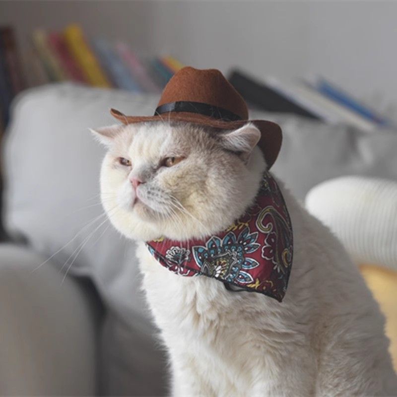 Pet Western Cowboy sombrero cool cool pet gato perro tocado vaquero muy ocupado tomando fotos lindos sombreros de vaquero