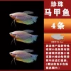 Vest from pearl, 6-8cm