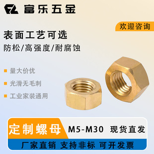 OEM���Ƹ��N�ߴ�o�̼� DIN934 �S�~ �~������ĸ����˨