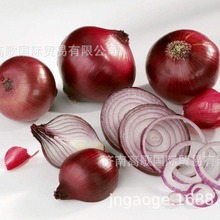 新鲜出口洋葱Onions   欢迎大量选购 长期供应 价格美丽