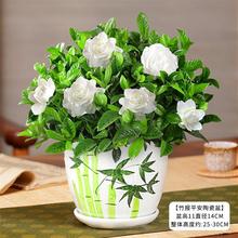 �d�ӻ�����ͥԺ�҃��̨���ܾGֲ�����͎����������Ǥ�������B��