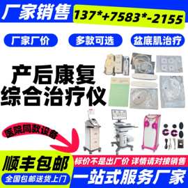 低频脉冲综合治疗仪 综合产后康复康复盆底肌训练治疗一生产销售