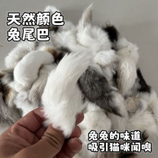 ؈���S���������Ȼ�ɫ��β�͚�ζ�S�������˽␞��؈��β��