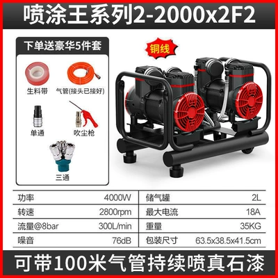 Air Pump for Spraying Special Real Hava kompressorları - copper-2x2000w-2l-shengtian-portable