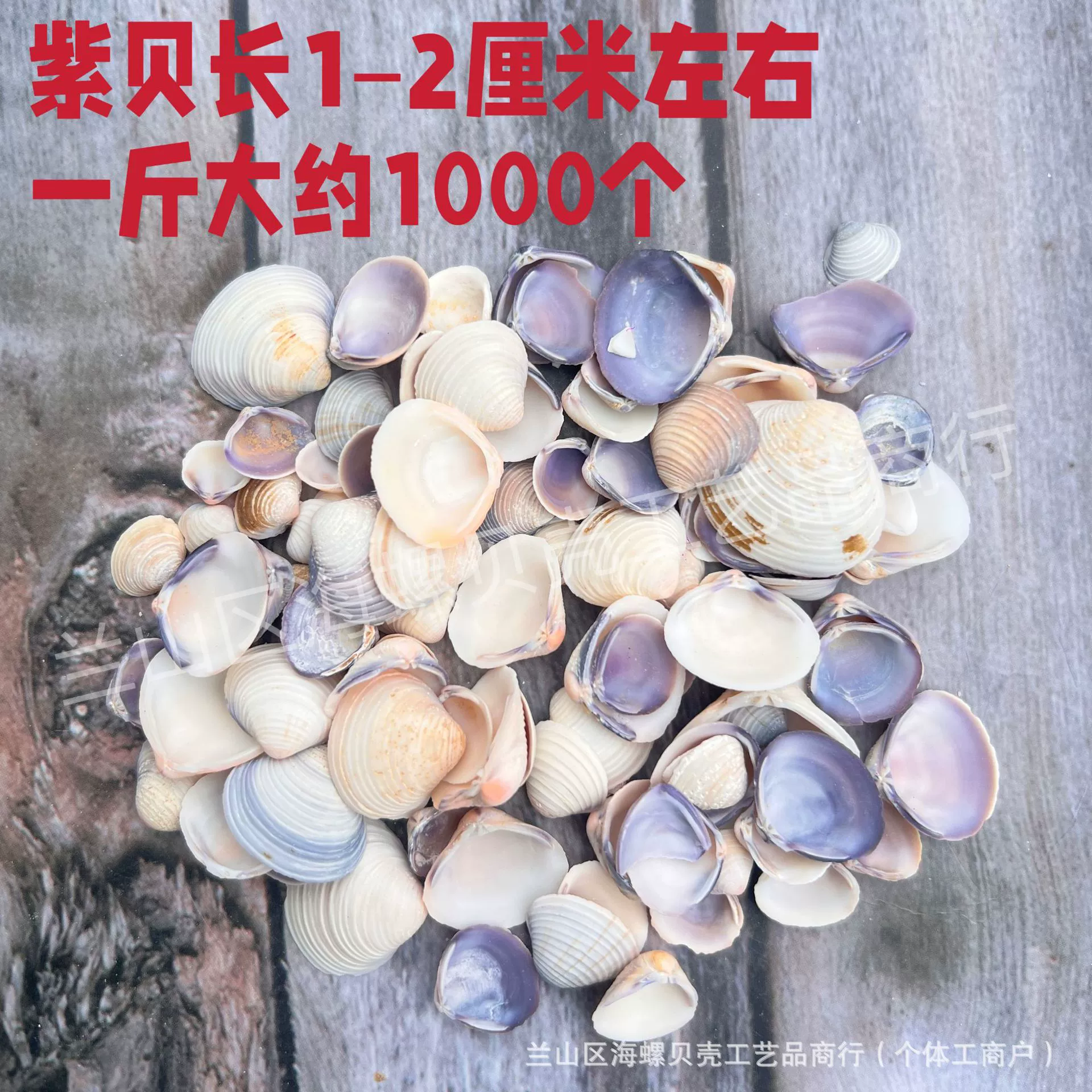 Shell Natural Shell Conch Stars Drifting Bottle Shell Crafts Wholesale Diy Handmade Shell Materials