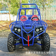 SֱN3000w늄UTV  r܇ 늄UTV ȫ܇ɳ܇buggy