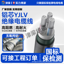 工程YJLV铝芯电缆线国标铜芯电缆户外电线发电机配电箱插座电源线