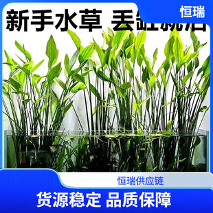 ����͢�ʹ��~���쾰�Ź�ˮ�ݴ��~���~�F�ʹ�ͦˮֲ��ˮ����Ե�ˮ