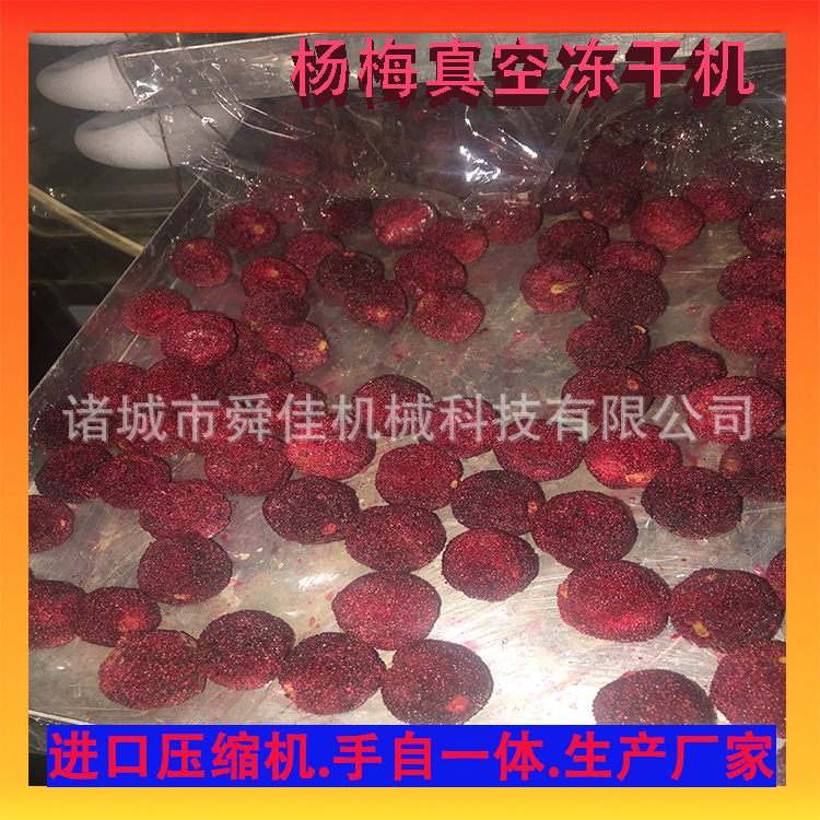 冻干杨梅机器设备 茶叶脱水抽湿干燥机 10平方冻干机厂家