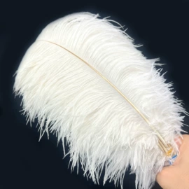 羽毛、羽绒;静电除尘刷;胸花