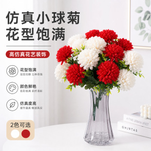 �Ų�С��շ��滨�ջ����컨���Ҿ��b[����c��ˇ���S�������l