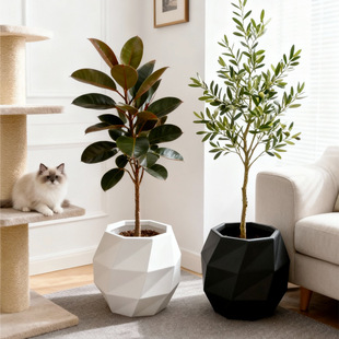 �V�໨�����Ύ׺�������҃��������B������Gֲ���ˮ�����Ի���