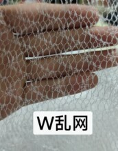 W乱网  银丝乱网 尼龙搓澡巾条网