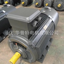 ���ஐ��늙CYZJ315L2-2/185kw ����늙C���L�Cˮ�Ì��ã���ʽ��