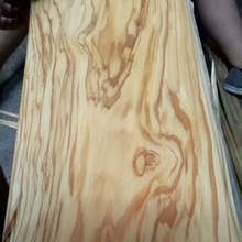 天然橄榄木皮直纹 双色橄榄木皮乱纹 橄榄木皮木饰面 橄榄树瘤
