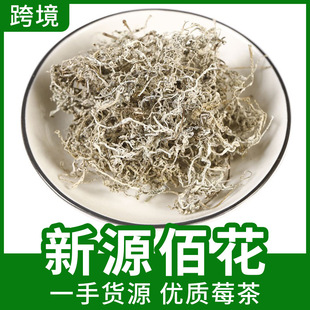 �S�����l������ʩݮ�������ٲ��������Ұ��������ɽ��ѿ����r��