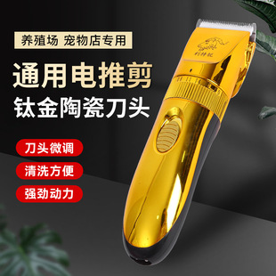 ͨ����Ƽ� �S�����lɽ����Ƽ����ʌ����Ƽ����깷ë��ë��