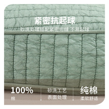 彩螺全荞麦壳枕头成人家用硬枕小枕头套有助睡眠护颈枕纯荞麦