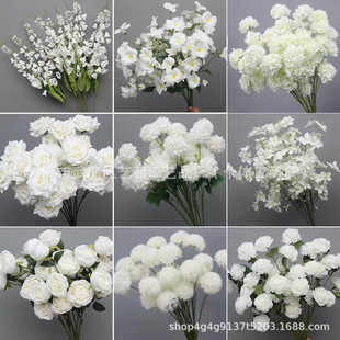 �羳���Q��ɫϵ�����c��Y�ٻ��Ƶ��c·���Ҿ��b��滨���l
