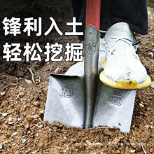 大铁锹锰钢铁铲子户外挖土松土园林园艺工具种菜挖树农用铁锨