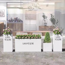 �Fˇ���⻨�����P䓻���M���L���ηNֲ����໨���̘I�֏V������