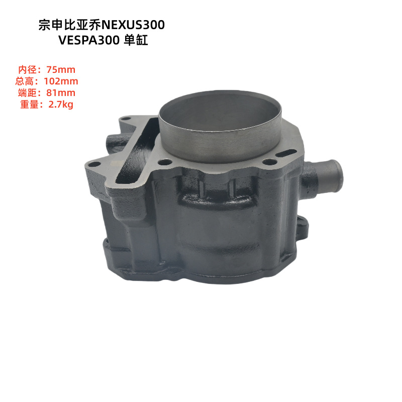 Motorcycle Cylinder Is Suitable for Zongshen Biaqiao Nexus300 Vespa300 Efi Cylinder Kit
