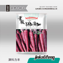 厂家批发紫色胡萝卜种子甜脆秋季蔬菜水果紫胡萝卜种籽紫黑罗卜籽