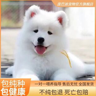 ���N�_ĦҮ��Ȯ�ܰ��_Ħ΢Ц��ʹ�_ĦҮȮѩ��Ȯ���w���B���ﹷ��