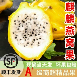 其他水果;哈密瓜;奇异果猕猴桃