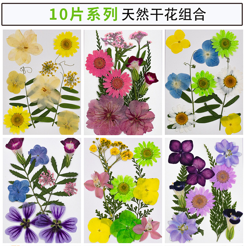 Handmade Real Flower Plant Specimens, Dried Flowers, Embossed DIY Material Package, Face and Eye Stickers, Photo Frame Decorations