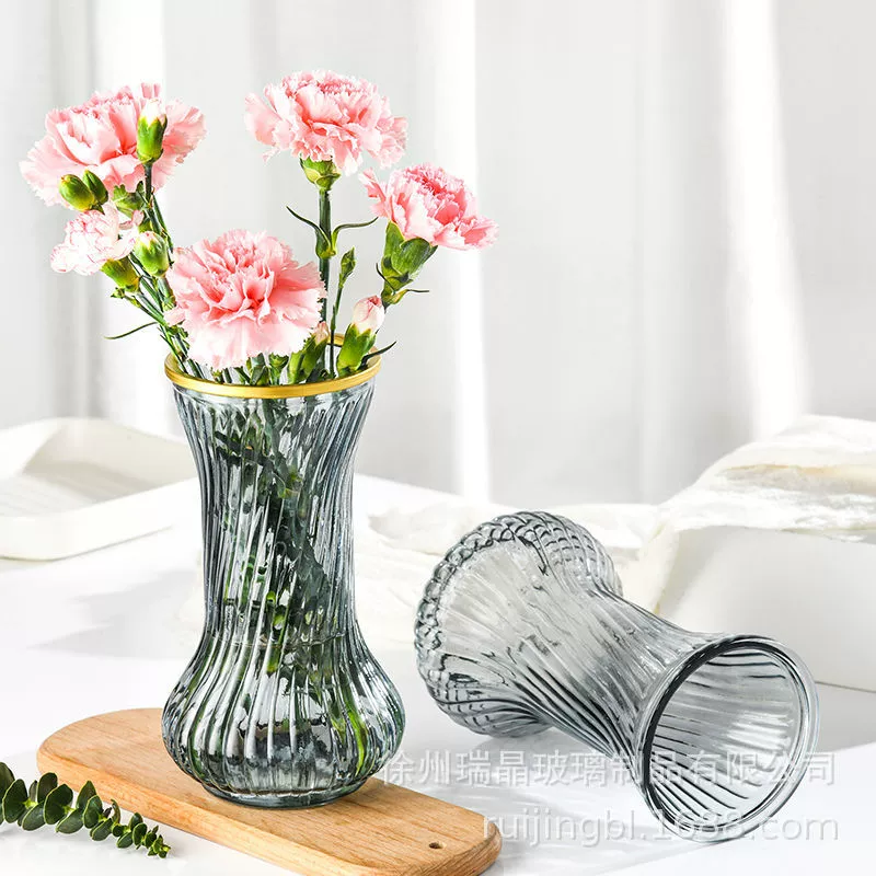Скандинавская простая стеклянная ваза в стиле ins, прозрачная водоповоротная ваза для цветов, обеденный стол для гостиной, популярные декоративные украшения