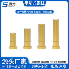 POGOPIN���ĈA�~�������ĸ������|�c�����B����