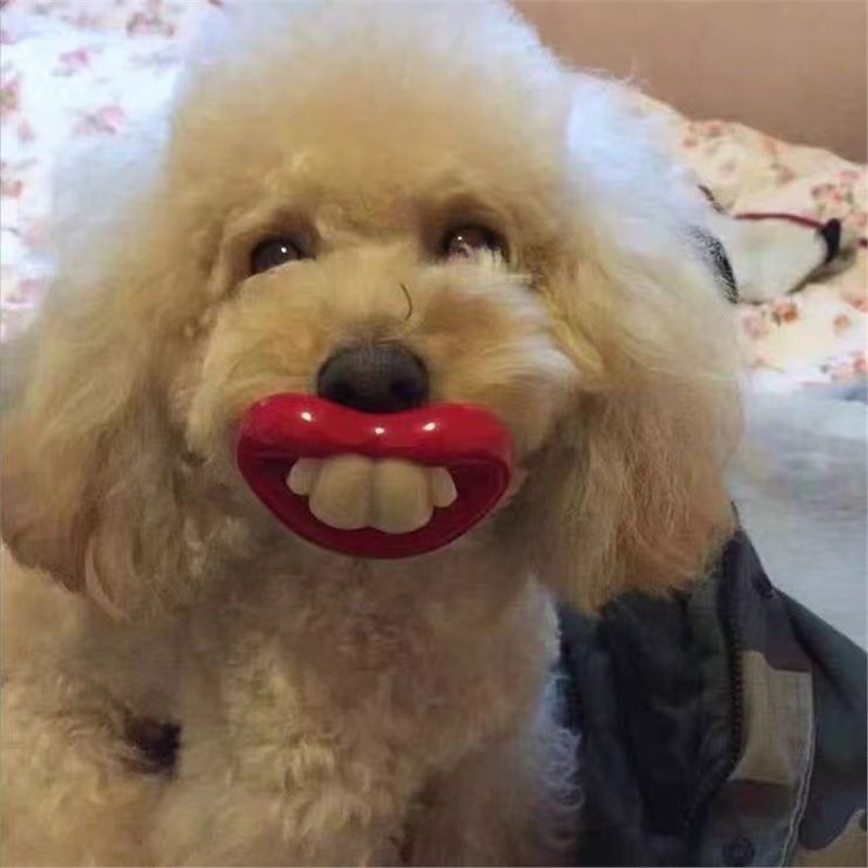 赤い唇のウサギの歯と同じスタイルの面白い犬のおしゃぶり面白いおもちゃの出っ歯ペットの犬面白いおしゃぶり|undefined