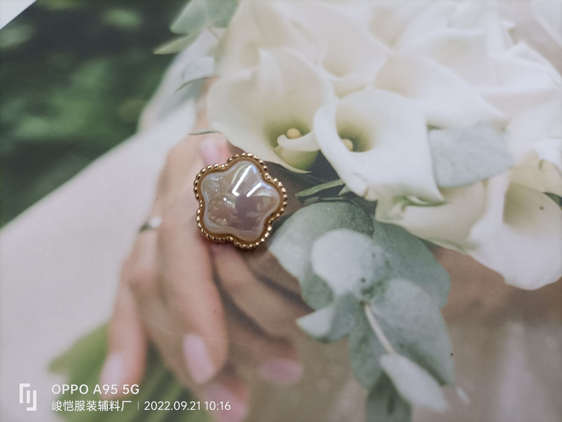 78f214d6ab95f3e4d3b549e970e307