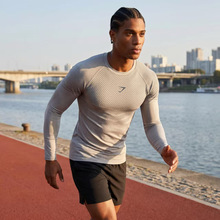 GYMSHARK/ONYX5�L���\�ӽ������ٸ�͸�⏗���A�I�o��Ӗ�����L��T