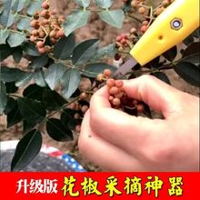日摘千斤摘花椒神器手握多功能专用剪刀葡萄荔枝龙眼采摘工具