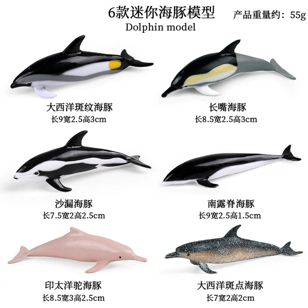 JCT mini dolphin 6 set