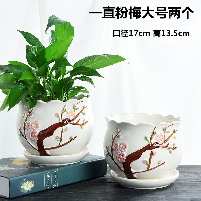 분홍색 자두 1개, 큰 크기 2개