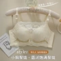 加厚款聚拢无钢圈胸罩