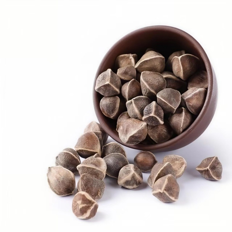 Moringa Seeds (Moringa oleifera) — Dried Food-Herb Seeds, 500g Yunnan Origin preparation