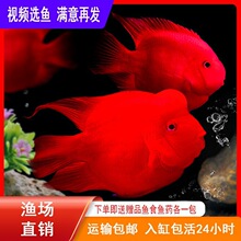 �t�W�^�~���~�Ꭷ�^�p�~��ˮ�~�Lˮ�~Ԫ���~Ѫ�t�~�lؔ�~