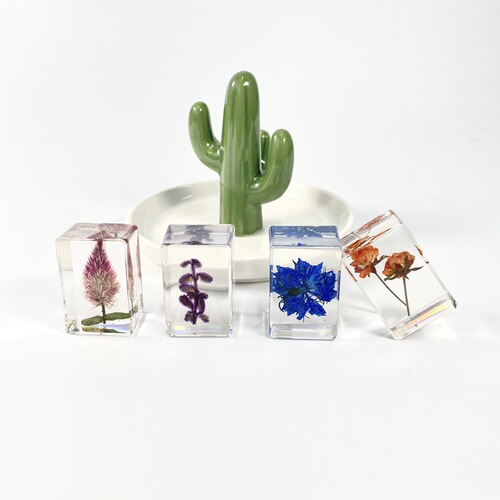 Avivi Brand Hand-Droplet Resin Dried Flower Bookend Transparent Amber Dried Flower Specimen Hot Selling New Product