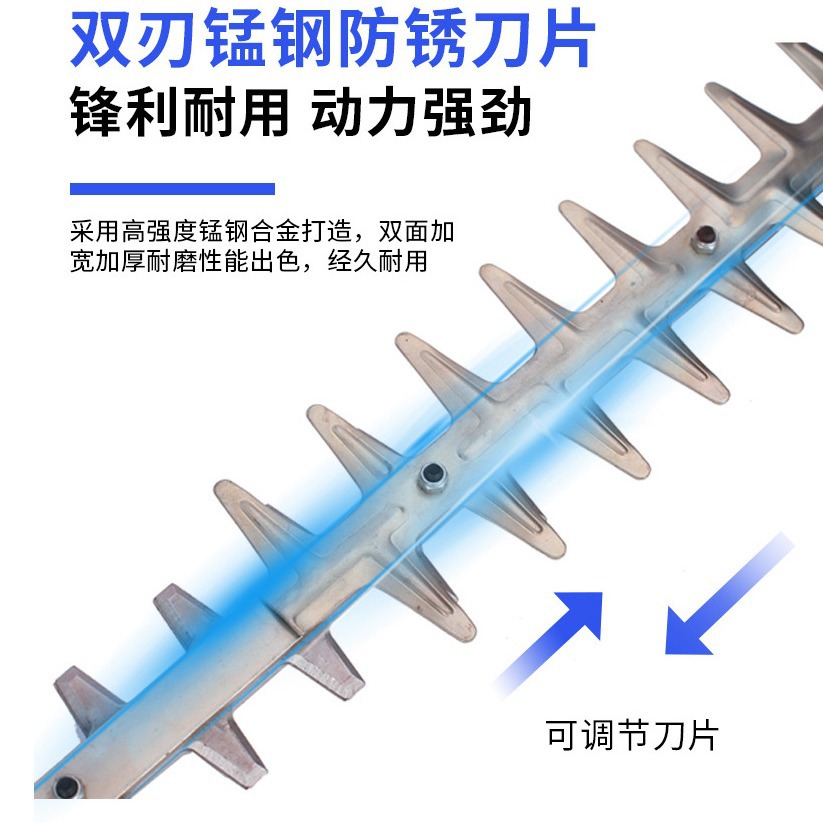 2024-05-10 13:41:00.jpg